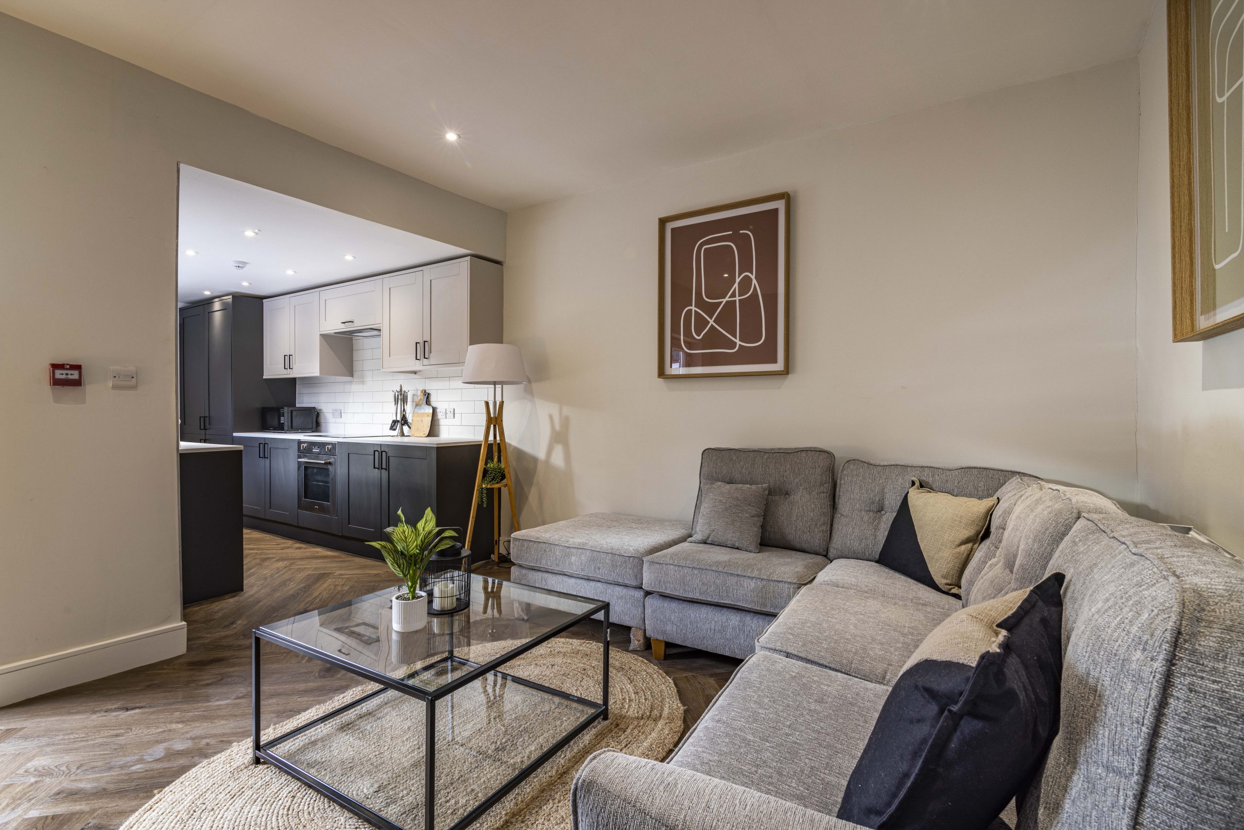 Modern student living room